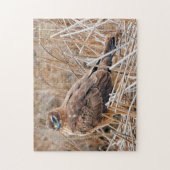 Schöner Northern Harrier Hawk in den Marschen Puzzle (Vertikal)