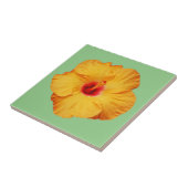 Schöner orangefarbener Hibiskus Blume Fliese (Seite)