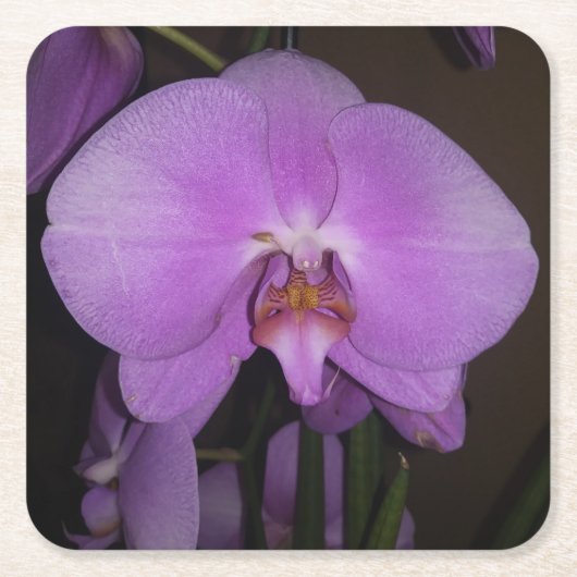 Schöner Orchid-Untersetzer Rechteckiger Pappuntersetzer (Vorderseite)