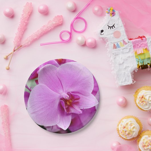 Schöner Orchideen-Pappteller Pappteller (Party)