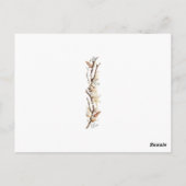 Schöner Ozean Pink Flamingos Palm Trees Sand Postkarte (Rückseite)