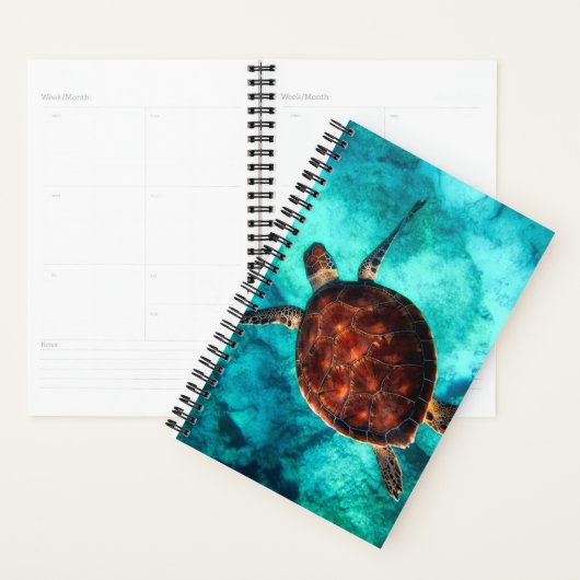 Schöner Ozean schwimmen große braune Schildkröte Planer (Anzeige)