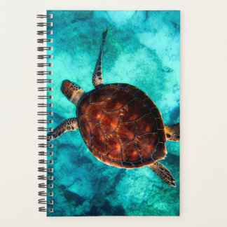 Schöner Ozean schwimmen große braune Schildkröte Planer