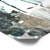 Schöner Parrot Poster (Ecke)