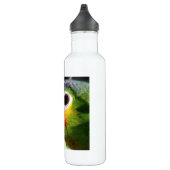 Schöner Parrot Trinkflasche (Rechts)