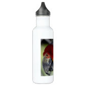 Schöner Parrot Trinkflasche (Links)