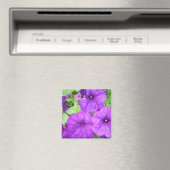 Schöner Petunia-Magnet Magnet (In Situ (Geschirrspüler))