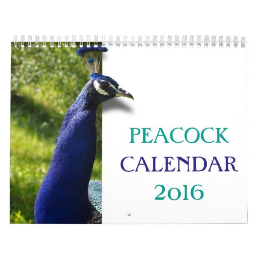Schöner Pfau 2016 Kalender (Titelbild)