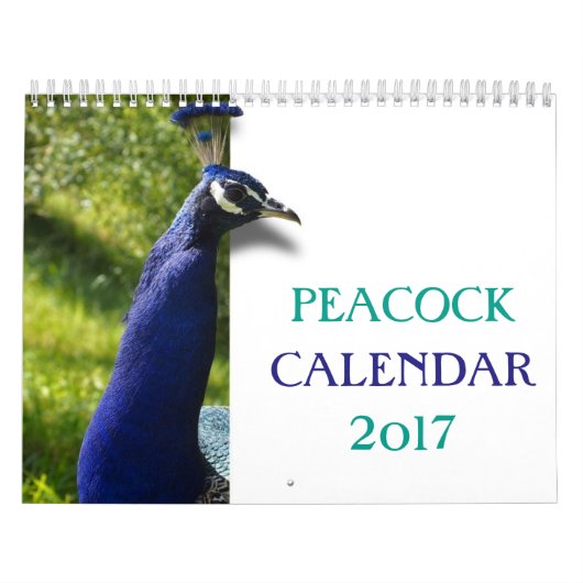 Schöner Pfau 2017 Kalender (Titelbild)