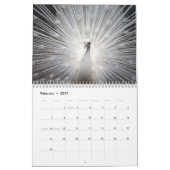 Schöner Pfau 2027 Kalender (Feb 2027)