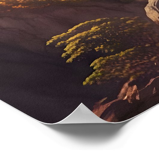 Schöner Pfau 4 | Art | Wall Art | Poster (Ecke)