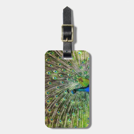 Schöner Pfau Gepäckanhänger (Vorderseite vertikal)