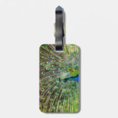 Schöner Pfau Gepäckanhänger (Rückseite vertikal)