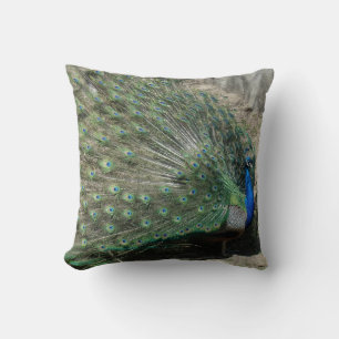 Schöner Pfau Kissen