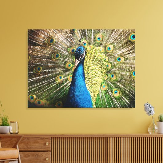 Schöner Pfau Leinwanddruck (Insitu (Wohnzimmer))