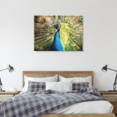 Schöner Pfau Leinwanddruck (Insitu (Schlafzimmer))