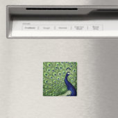 Schöner Pfau Magnet (In Situ (Geschirrspüler))