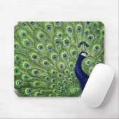 Schöner Pfau Mousepad (Mit Mouse)