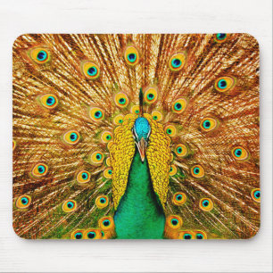 Schöner Pfau Mousepad