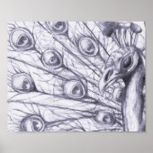 Schöner Pfau Poster (Vorne)