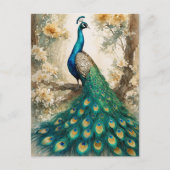 Schöner Pfau Postkarte (Vorderseite)