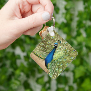 Schöner Pfau Schlüsselanhänger