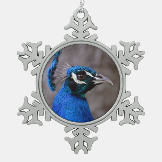 Schöner Pfau Schneeflocken Zinn-Ornament (Vorderseite)
