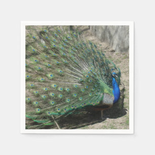 Schöner Pfau Serviette