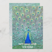 Schöner Pfau Sie sind eingeladen Einladung (Vorne/Hinten)