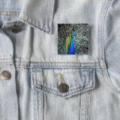 Schöner Pfau spreizt farbenfrohe Federn Button (Beispiel)