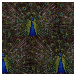 Schöner Pfau Stoff