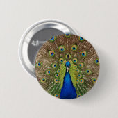Schöner Pfau- und Schwanz-Federn drucken Button (Vorne & Hinten)