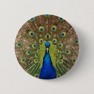 Schöner Pfau- und Schwanz-Federn drucken Button