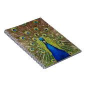 Schöner Pfau- und Schwanz-Federn drucken Notizblock (Rechte Seite)