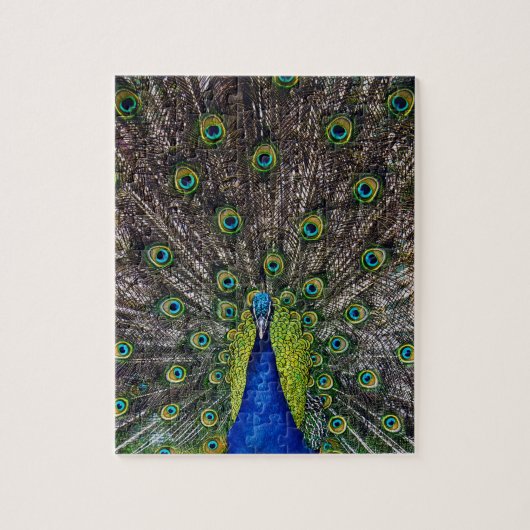 Schöner Pfauen Vogel Puzzle (Vertikal)
