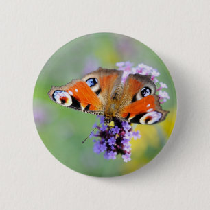Schöner Pfauenaugenschmetterling auf einer Blume Button
