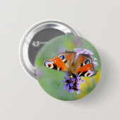 Schöner Pfauenaugenschmetterling auf einer Blume Button (Vorne & Hinten)