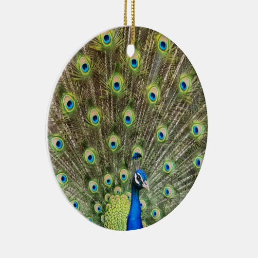 Schöner Pfauenvogel Keramik Ornament (Rechts)