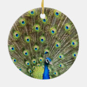 Schöner Pfauenvogel Keramik Ornament (Hinten)