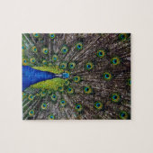 Schöner Pfauenvogel Puzzle (Horizontal)