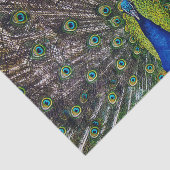 Schöner Pfauenvogel Seidenpapier (Ausschnitt)