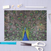 Schöner Pfauenvogel Seidenpapier (Handwerk)