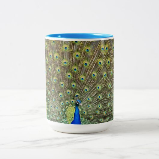 Schöner Pfauenvogel Zweifarbige Tasse (Mittel)