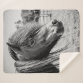 SCHÖNER PFERD SHERPADECKE (Vorderseite (Horizontal))