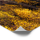 SCHÖNER PINENWALD POSTER (Ecke)