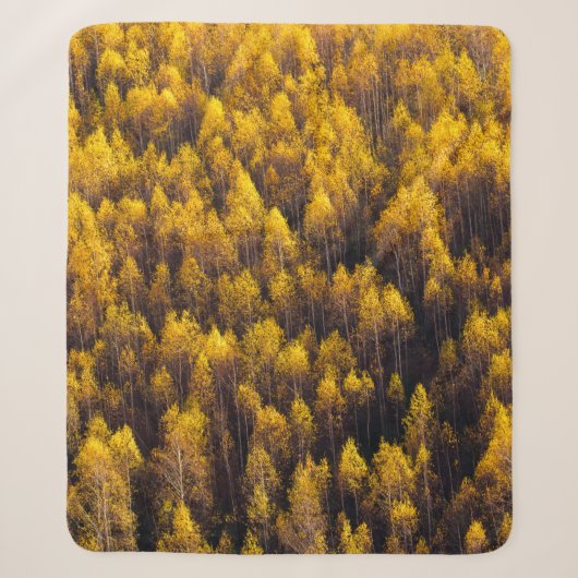 SCHÖNER PINENWALD SHERPADECKE (Vorderseite)
