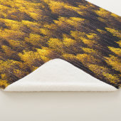 SCHÖNER PINENWALD SHERPADECKE (3/4)