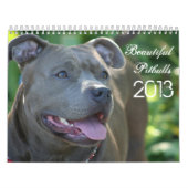 Schöner Pitbulls 2013 Hundekalender Kalender (Titelbild)