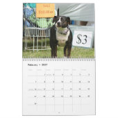 Schöner Pitbulls 2014 Hundekalender Kalender (Feb 2027)