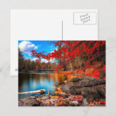 schöner Planet 15 Postkarte (Vorne/Hinten)